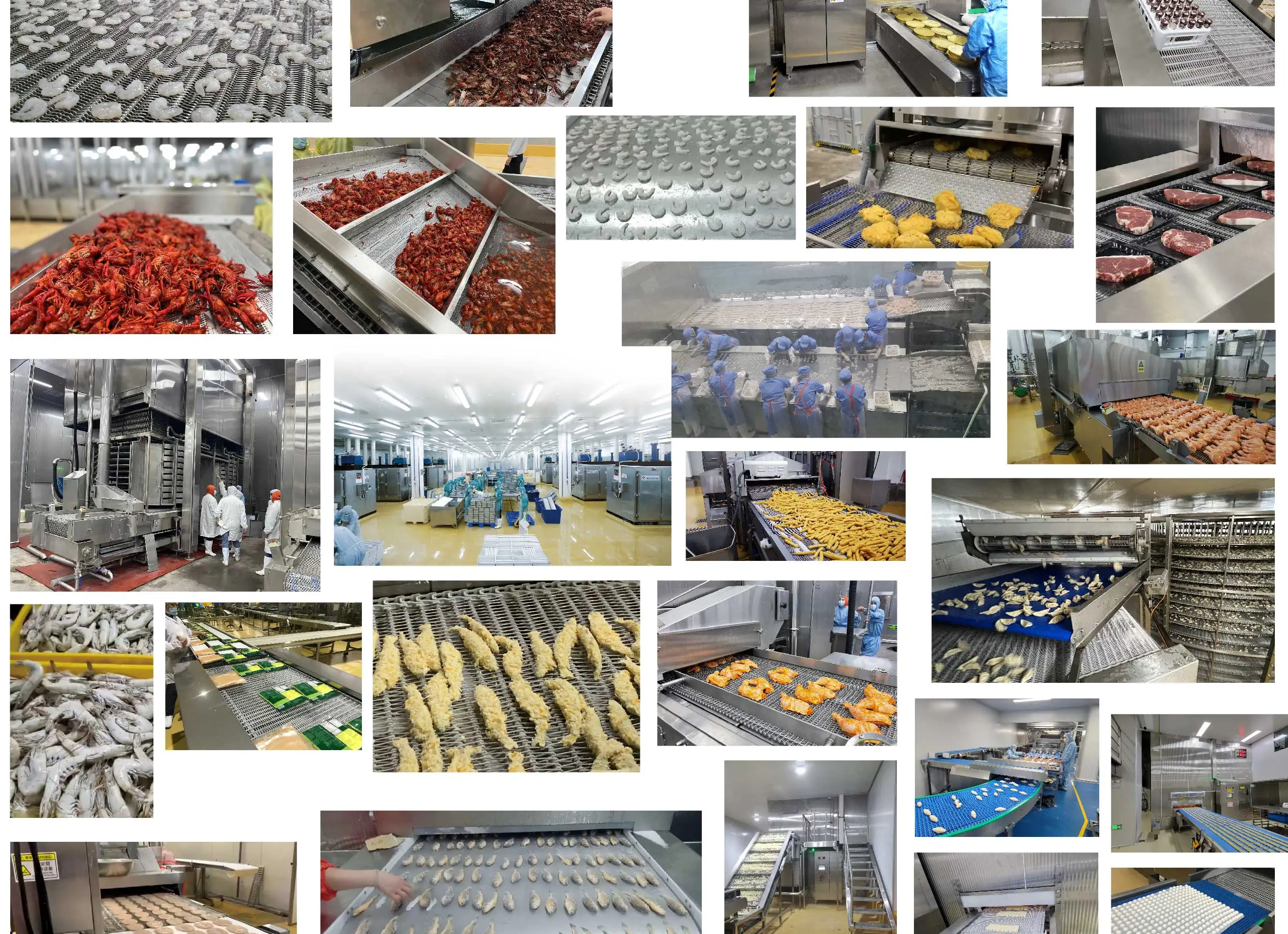 حالات التطبيق