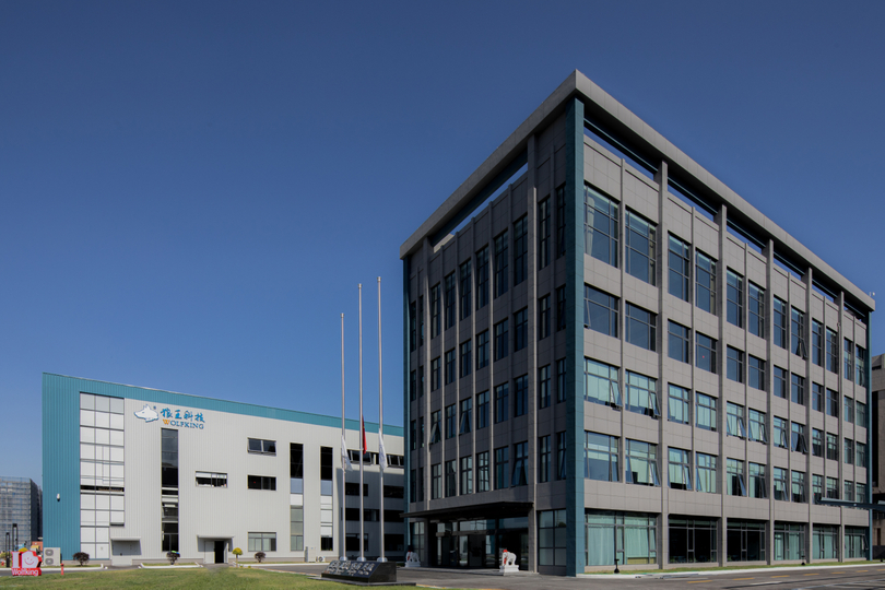 Wolfking نظرة عامة