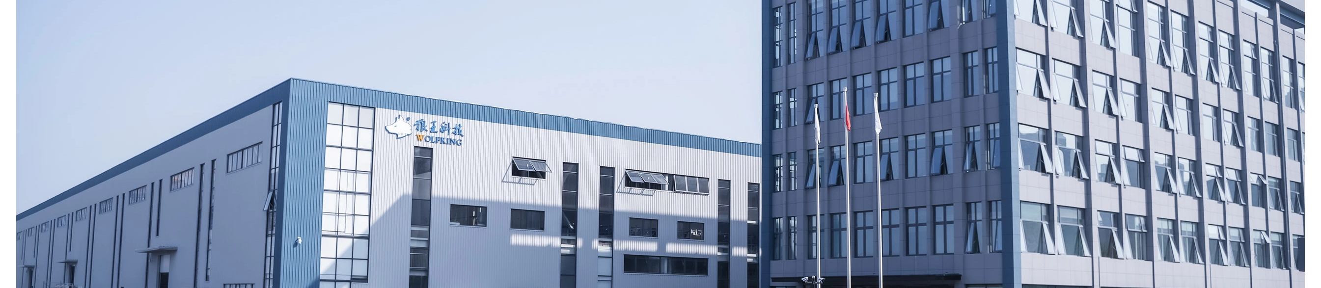 شركة Wolfking