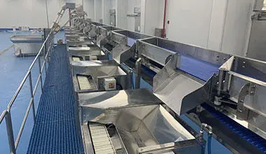 مأكولات بحرية