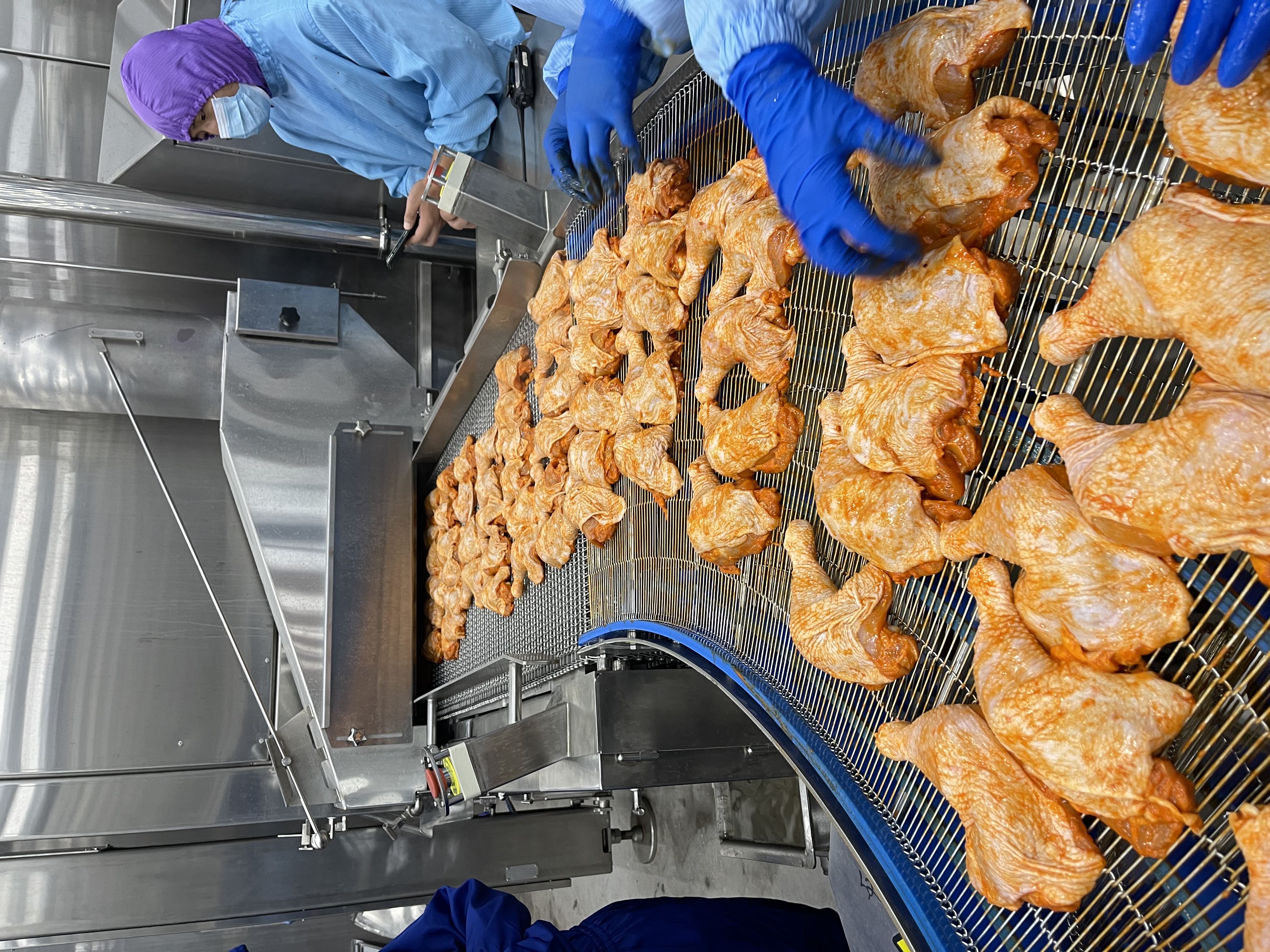 2-1 فرن حلزوني 螺旋 烤炉 鸡腿 进 料 2