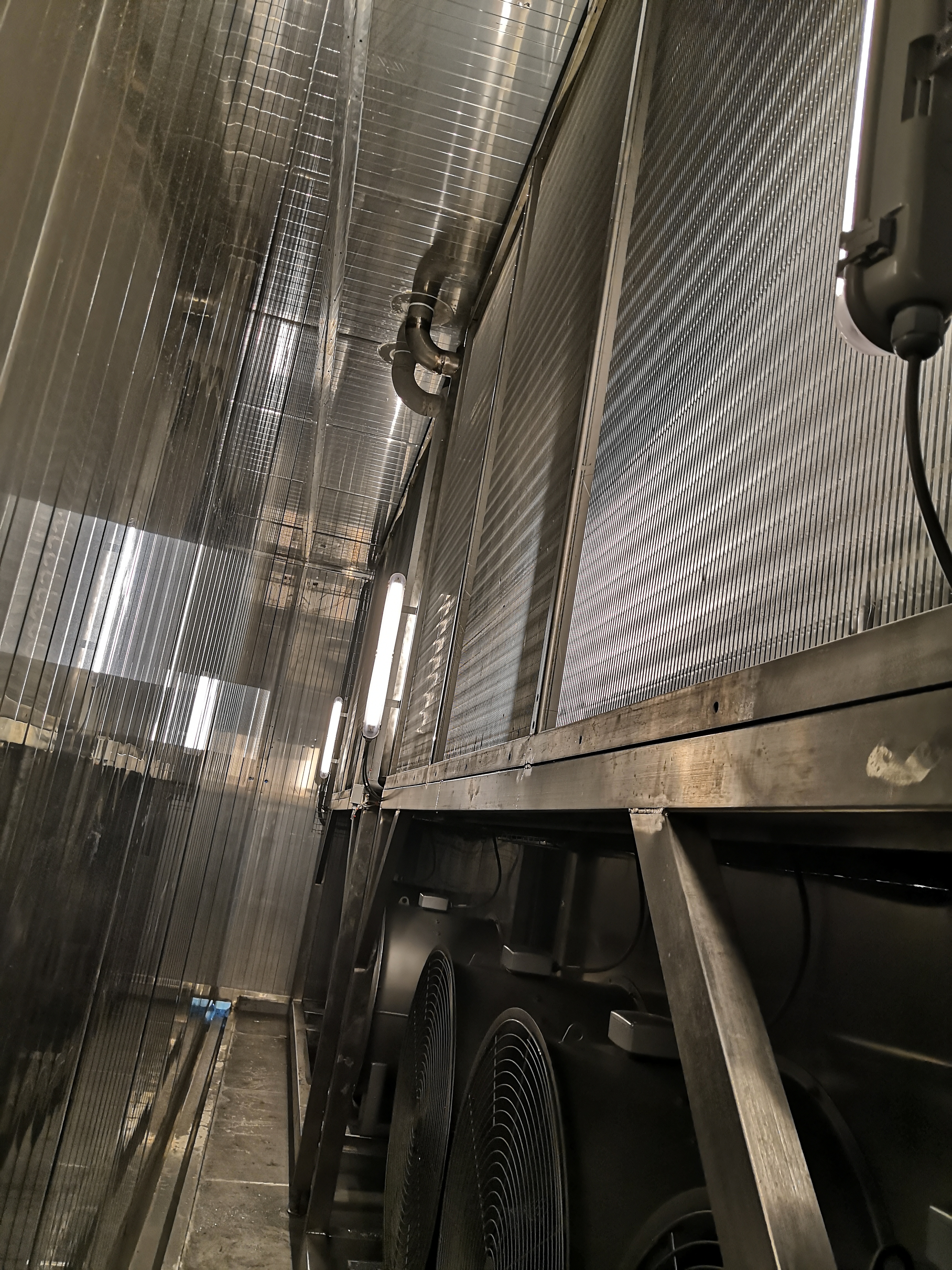 الصورة_202201221818268